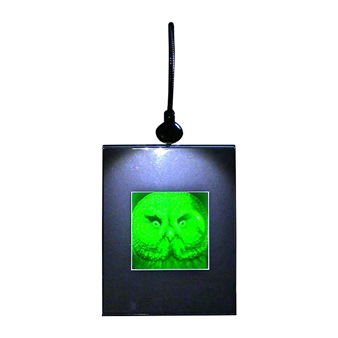 3D BIRDS OF PREY Hologram Picture Lighted Desk Stand, Collectible Polaroid Photopolymer Film